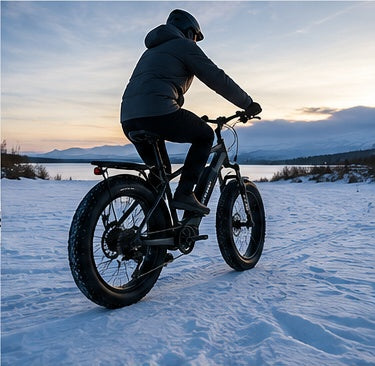Fat-Tyre E-Bikes