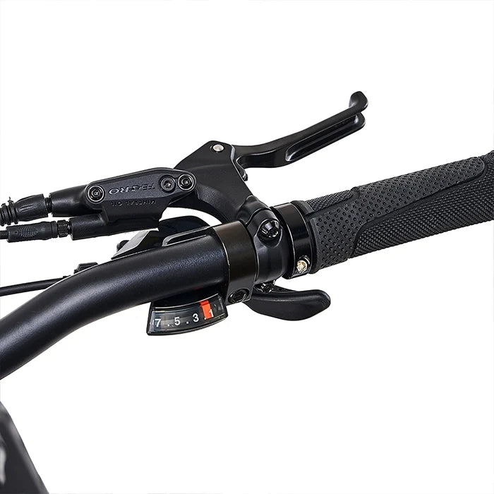 Hygge - Sorø Folding E-Bike